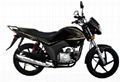 110CC hight quality   popular  cub motorbike  1