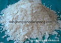 Supply Magnesium Chloride(46%) 1