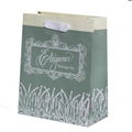 Manufacturer promotional paper shopping bags