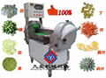 Vegetable Cutter TJ-301