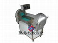 Vegetable Cutter TJ-301-1