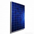 280W Poly solar penels