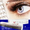 Longer thicker eyelashes by natural real + eyelash enhancing serum OEM cosmetics