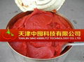   tomato paste in drum  manufacturer 1