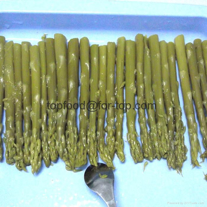 Canned Green Asparagus 2