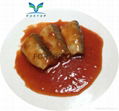 Canned sardine fish(in oil, brine, tomato sauce)