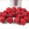 Canned Fruit Red Strawberry in Light/Heavy Syrup  2