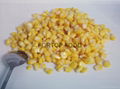 canned sweet corn 425g 2