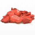  Freeze Dried Strawberry 2