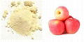 Apple Powder 1