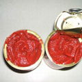 Canned Tomato Paste 3