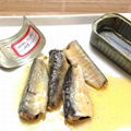 Canned sardine fish(in oil, brine, tomato sauce) 3