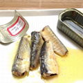 Canned sardine fish(in oil, brine, tomato sauce)