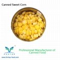 canned sweet corn 425g
