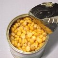 canned sweet corn 425g