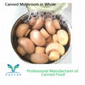 Canned Mushroom Champignons Mushroom Whole in brine