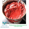 Canned Tomato Paste 1