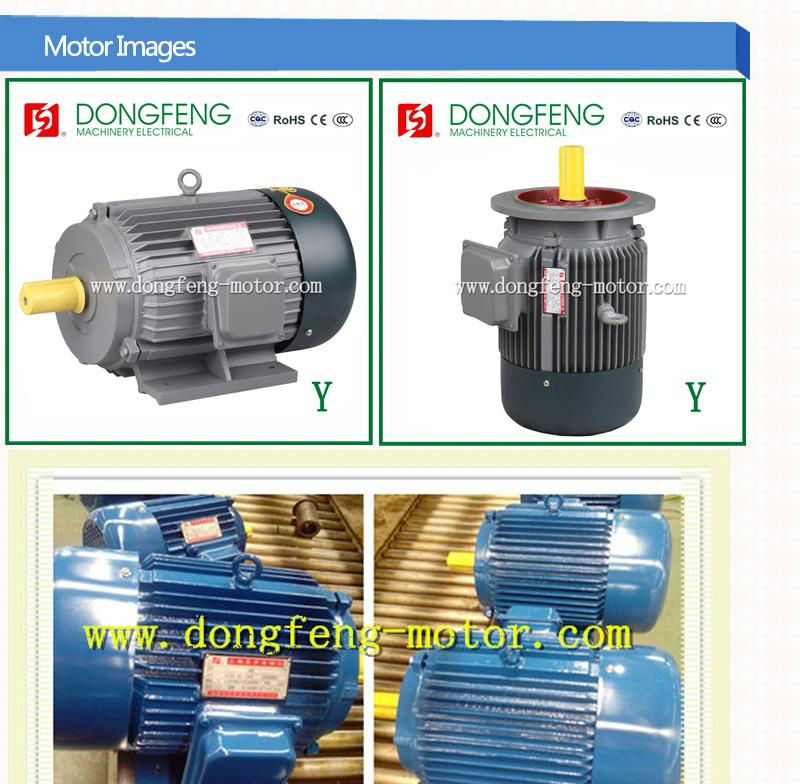 Y Series Casting Iron Casing Housing 3 Phase Three Phase Electric Motors AC Moto 2