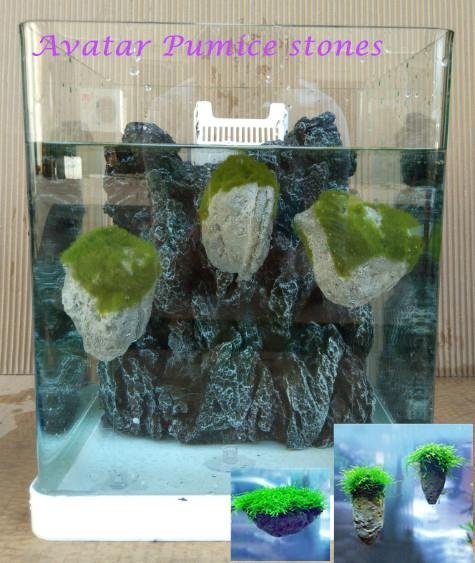 Avatar Pumice stone aquarium Pumice Stone 2