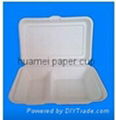 10 inch 3 compartment plate 1