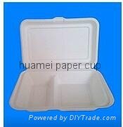 10 inch 3 compartment plate