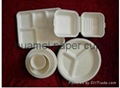 10 inch 3 compartment plate 5