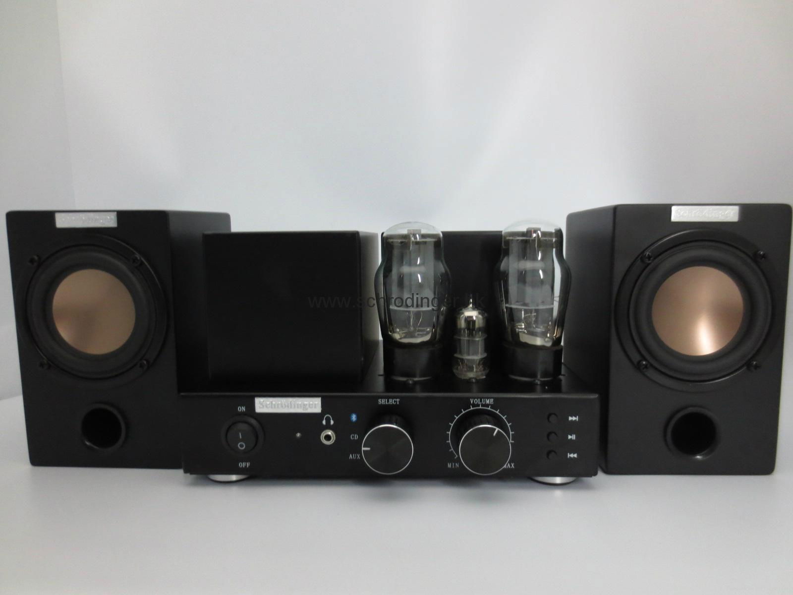 Vacuum Tube Bluetooth Amplifier with Wood Speakers set