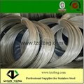 stainless steel wire biggest factory in China supply Hot Sale 2
