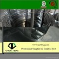 stainless steel wire biggest factory in China supply Hot Sale 3