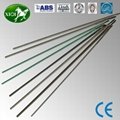Stainless Steel Welding  Electrode E308L-16 4