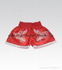 Thai Boxing Shorts