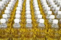 Sunflower Oil