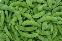Bulk Green Soybean Vegetable