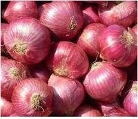 2014 High Quality Red Onions,White Onions and Yellow Onion