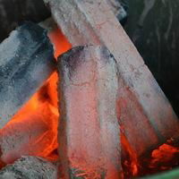 Sawdust charcoal to malaysia market