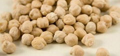 9mm Chickpeas with high quality