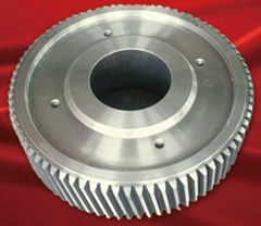 Spur Gear