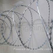 barbed wire 