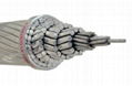 Steel-core Aluminum Alloy Conductor