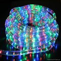 led rope light with flash light 2