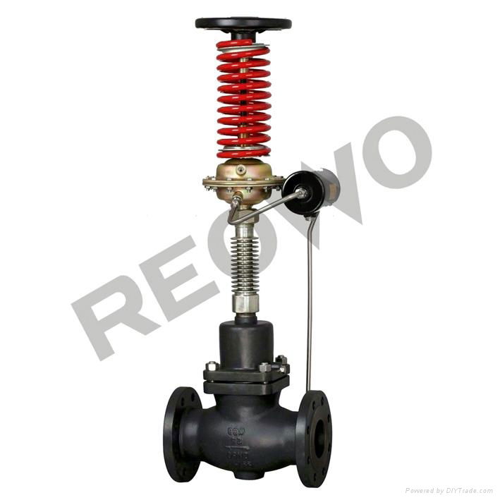 30D02Y/R self-operated (before-valve) pressure control valve 5