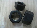 Heavy Hex Nuts 1