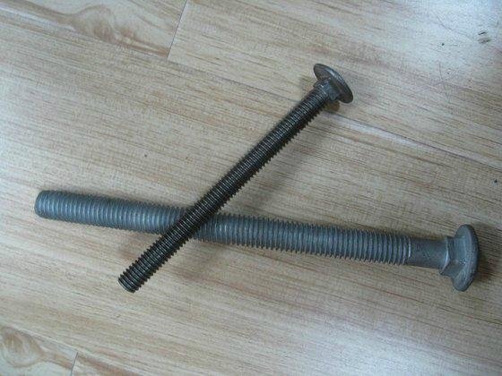 Carriage Bolts(DIN603) 
