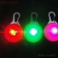 dog leash led wholesale pet dog collar 4