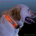 retractable dog pet leash with led light 3