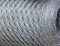 hexagonal wire mesh