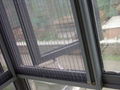 Window Screen 1