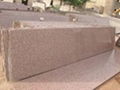 Rosy Pink Granite 3