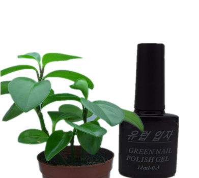 Environmental protection nail gel 