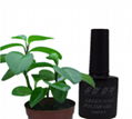 Environmental protection nail gel